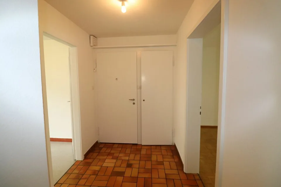 Près de Letten-Center et Ziegelei - Appartement 3 pièces au 1er étage à Allschwil à louer