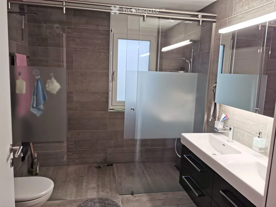 5 ½ Room Duplex Apartment 176m2 Owner-Occupied Standard