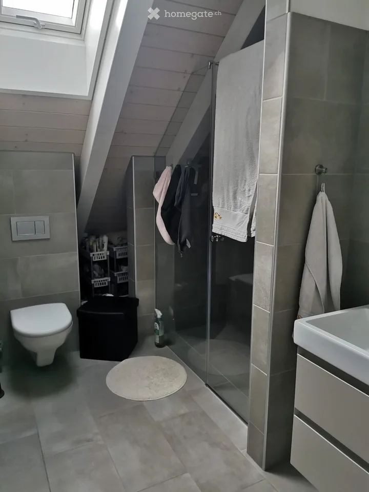 5 ½ Room Duplex Apartment 176m2 Owner-Occupied Standard