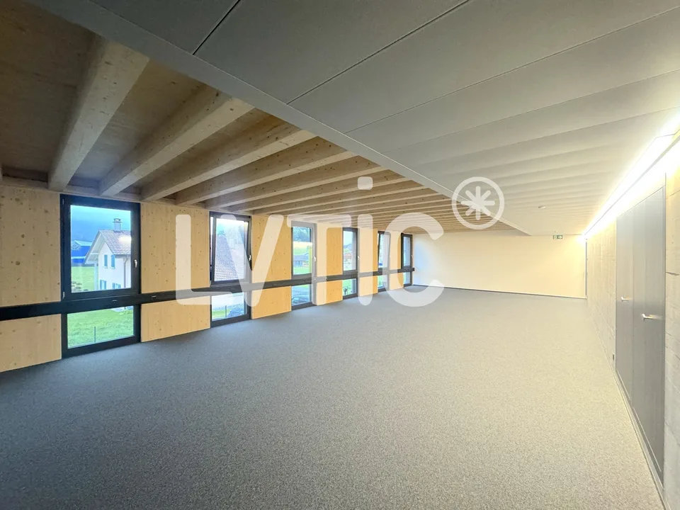 Locaux, atelier, bureaux de 245 m2 à louer à Châtel-St-Denis