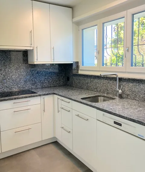 Detached single-family house with garden (gardener included in the price)