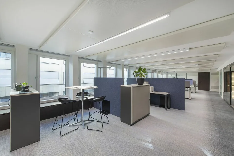 DIANA HOUSE - La tua esclusiva indirizzo di ufficio nel CBD – foto 7 di 9