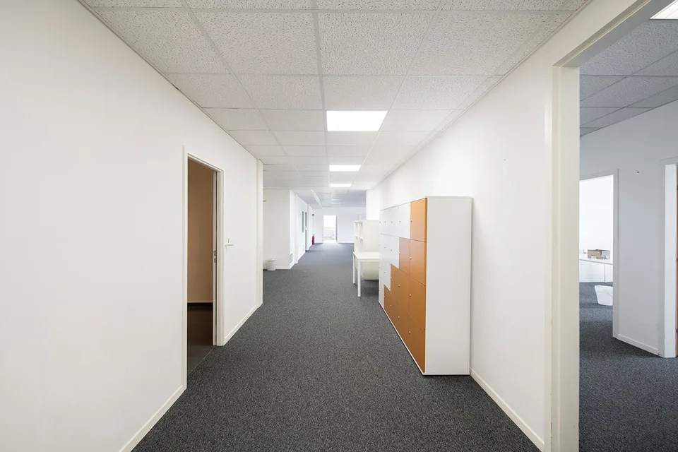 CTN (Zentrum für neue Technologien)