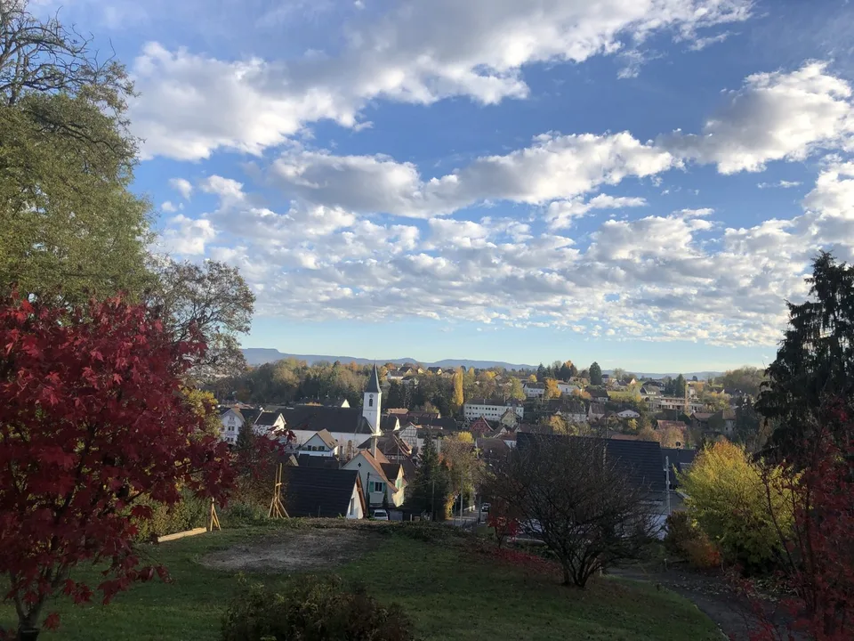 Zu verkaufen: Villa mit Panoramablick auf den Höhen von Hégenheim – photo 14 sur 29