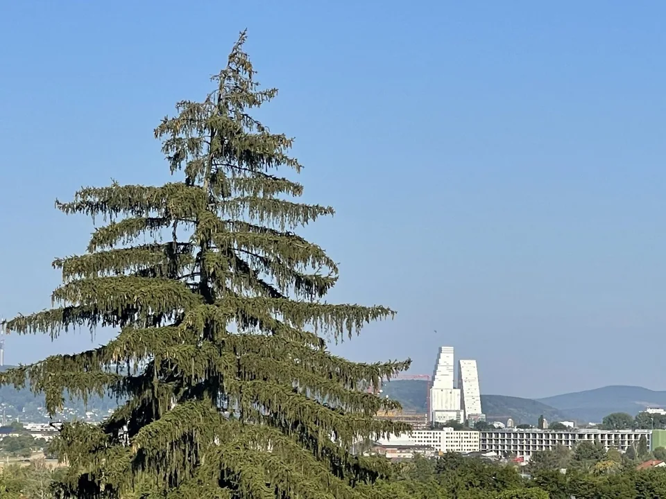 Zu verkaufen: Villa mit Panoramablick auf den Höhen von Hégenheim