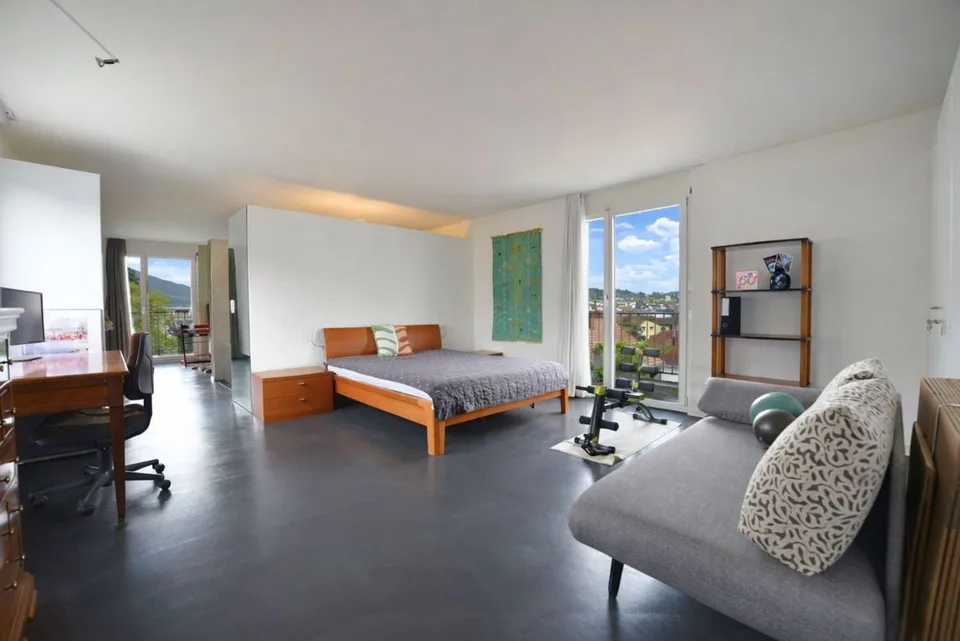 Splendido loft attico