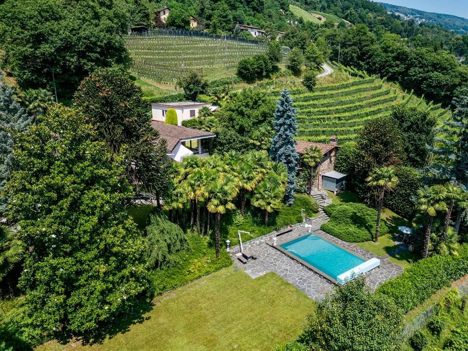 Splendida villa con piscina circondata da vigneti