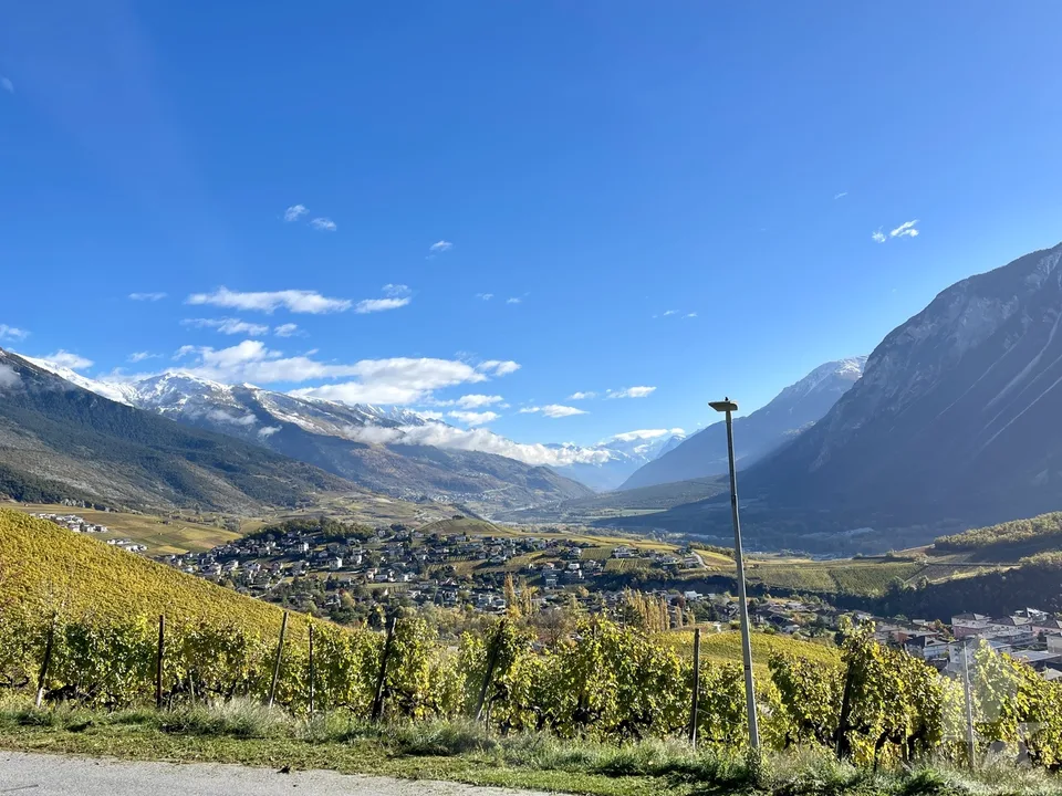 Chantier en cours, villa mitoyenne en terrasse, vue panoramique
