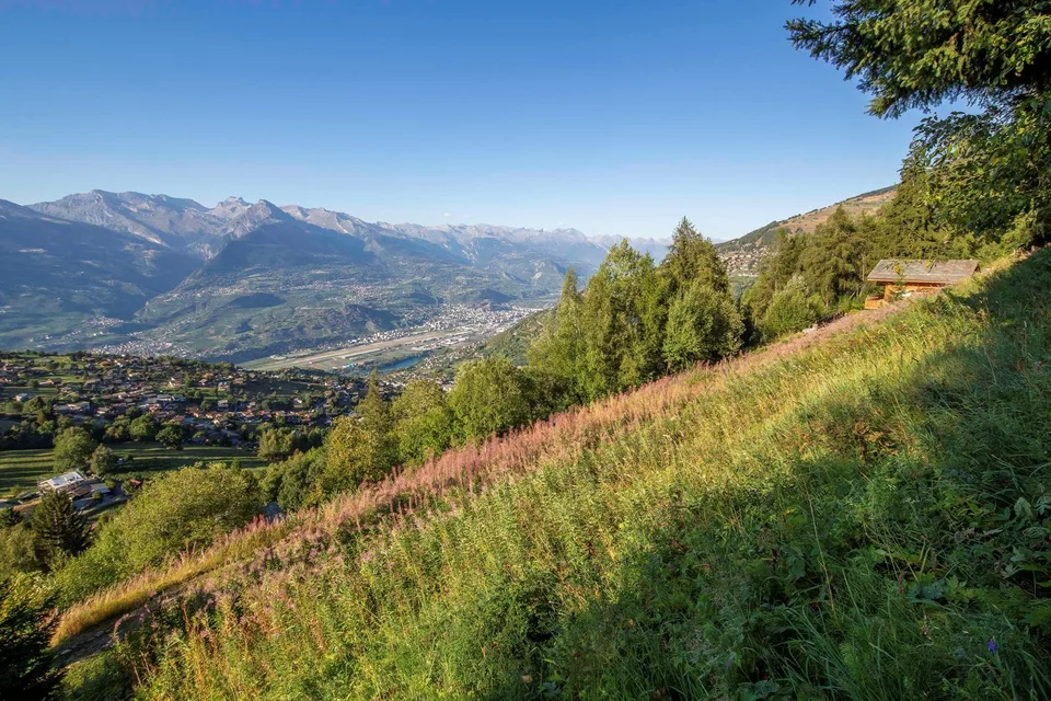 Due terreni edificabili, liberi da mandato con accesso al Bisse – foto 8 di 12