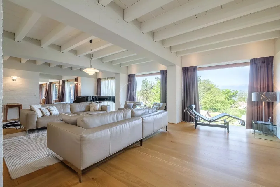 Luxurious architect-designed villa, lake view, spa, swimming pool, Left Bank