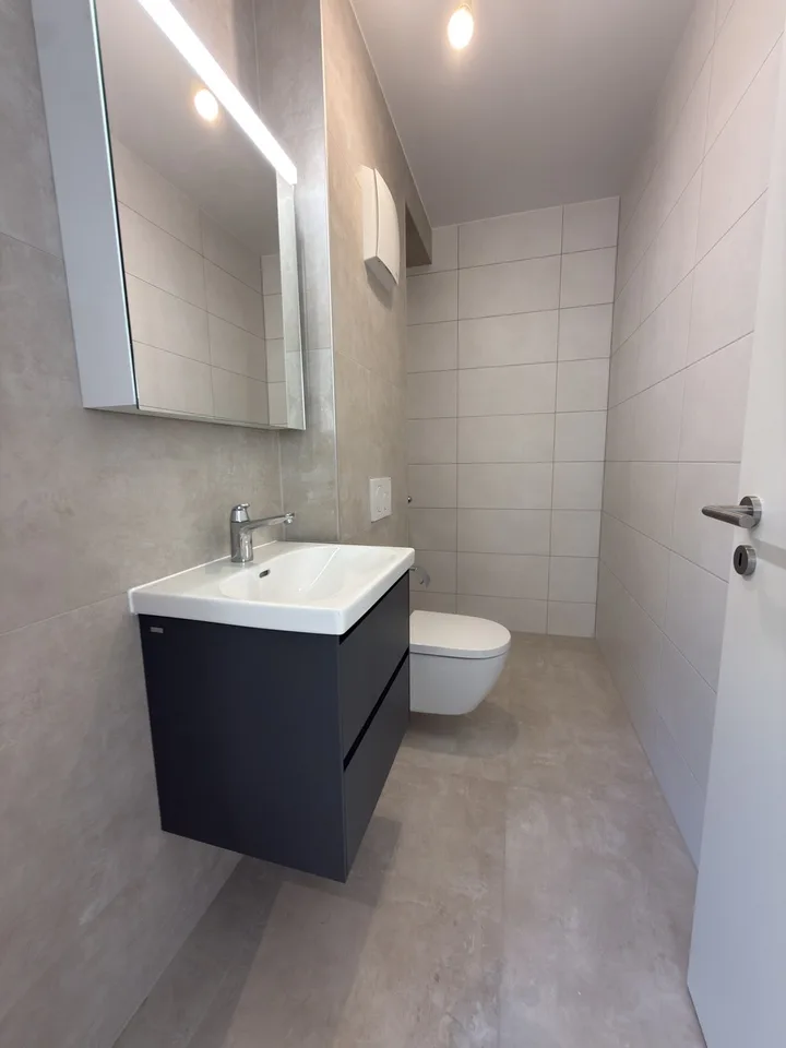 Appartamento nuovo di 4.5 locali a piano terra con terrazza privata – foto 8 di 11