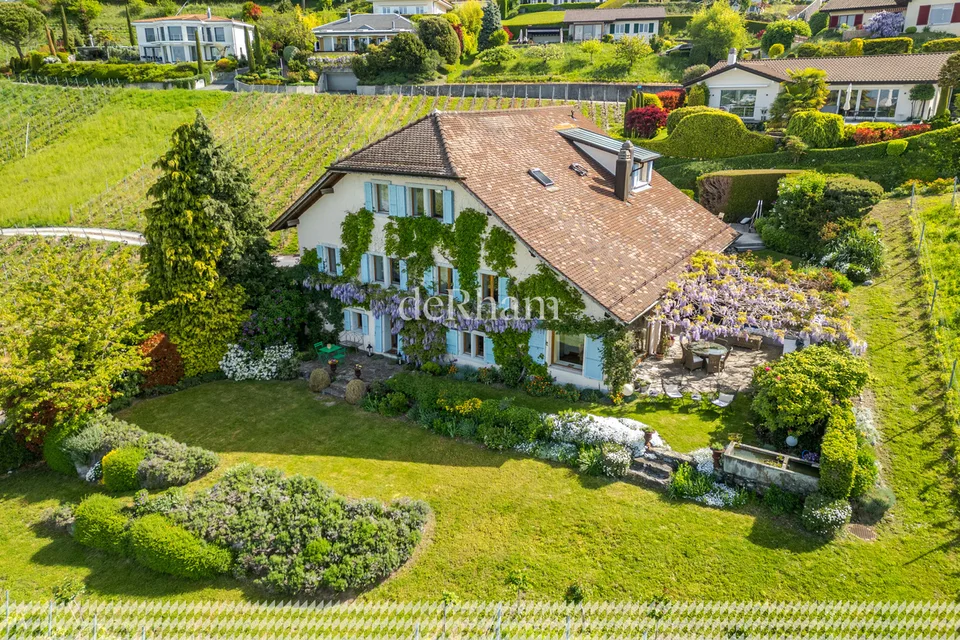 Maison vigneronne de charme Au coeur des vignes Vue sur le Léman