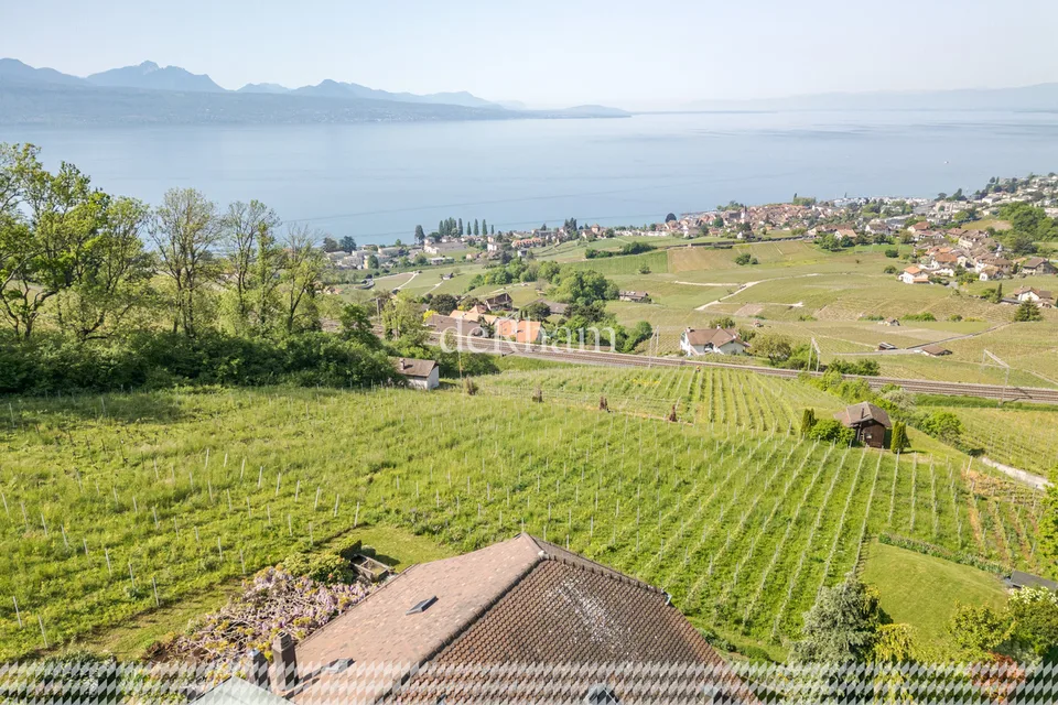 Charming Winemaker's House In the heart of the vineyards View of Lake Geneva