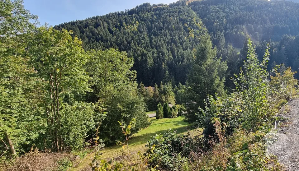 Baugrundstück in Torgon mit Baugenehmigung