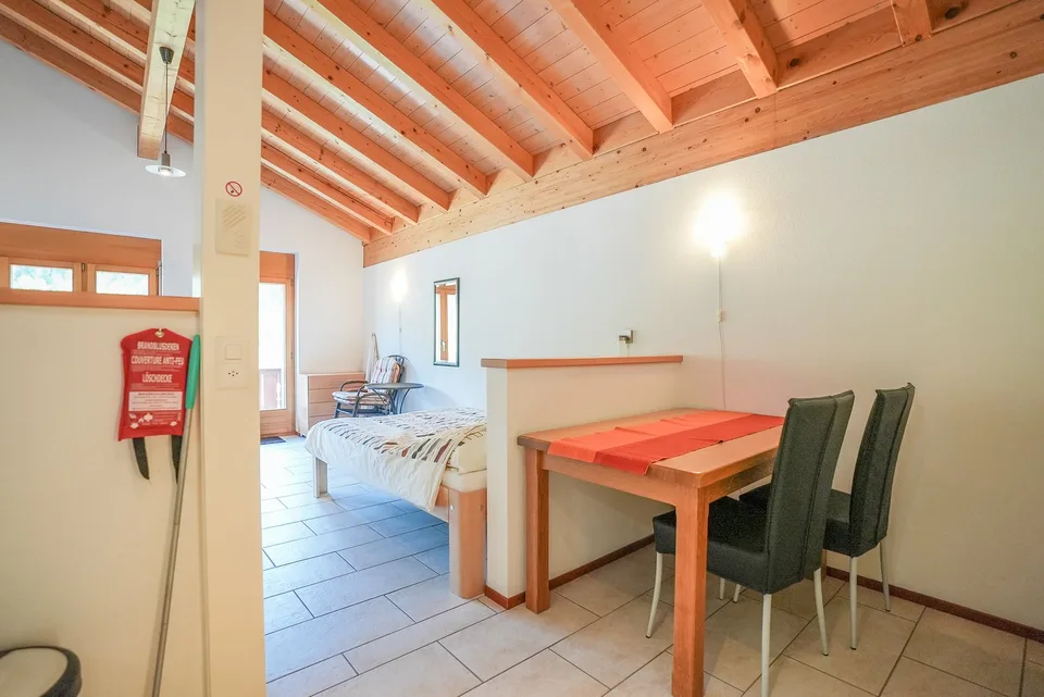 Cozy studio apartment in Fiesch with mountain view