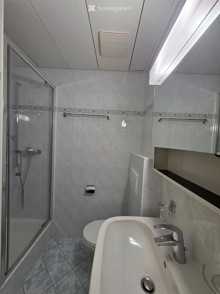 Appartement 4.5 pièces à vendre à Giubiasco