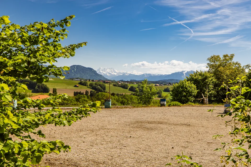 Rare opportunity: vast estate with building potential – photo 9 of 13