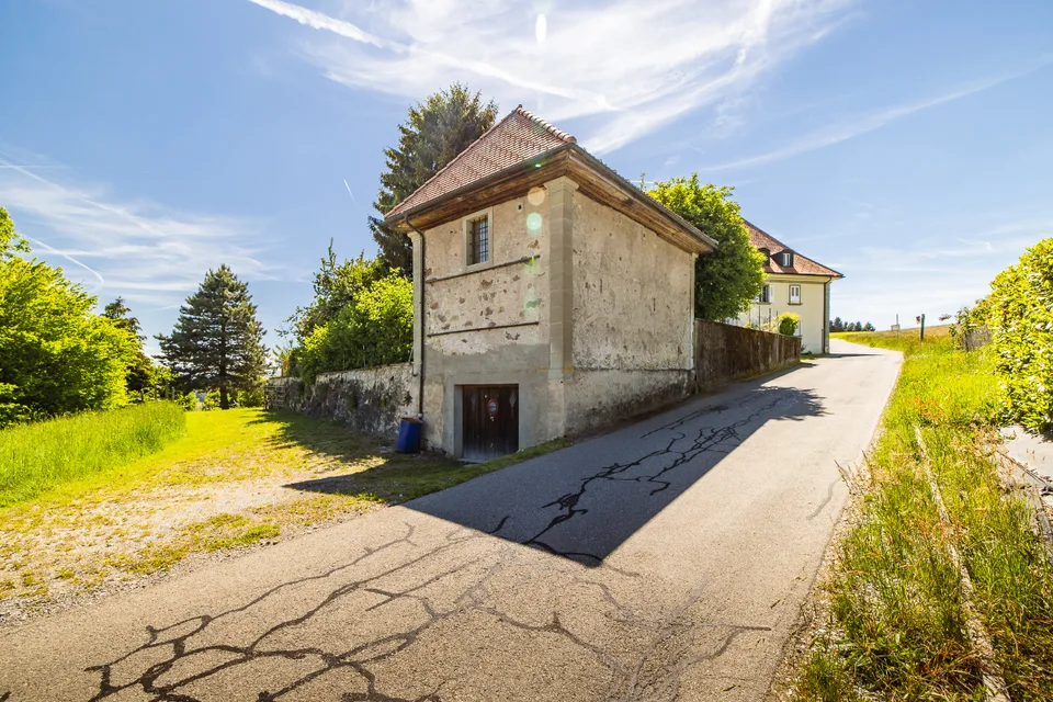 Rare opportunity: vast estate with building potential – photo 7 of 13