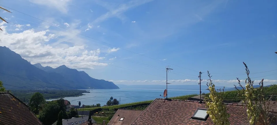 Magnifique villa individuelle à vendre à Villeneuve