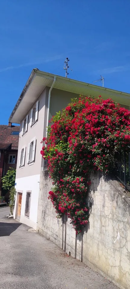 Magnifica villa individuale in vendita a Villeneuve