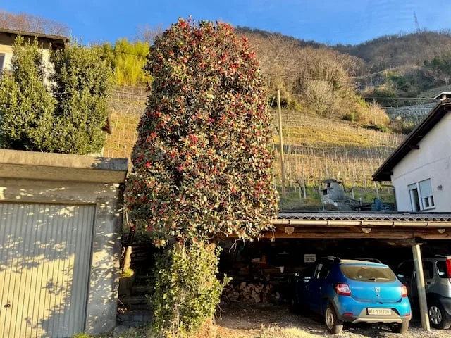 For sale in Lavertezzo - Building plot with a view of the Magadino plain and Lake Maggiore