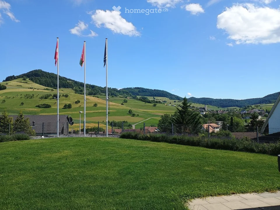 Villa moderne : à seulement 25 minutes de Baden et 45 minutes de Zurich/Bâle