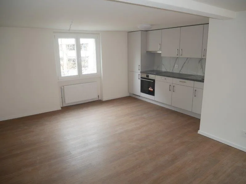 Appartement de 1,5 pièces rénové à louer