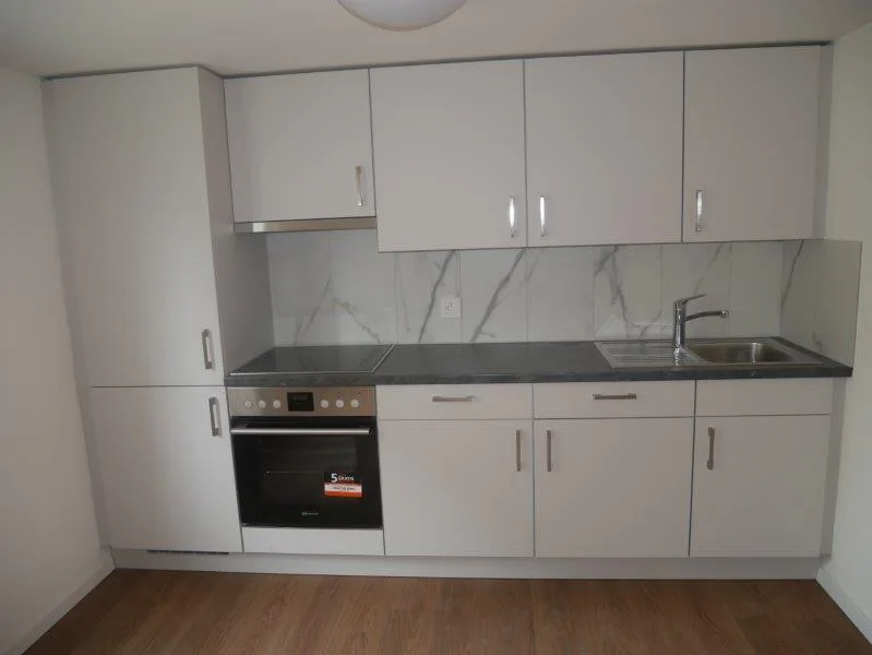 Appartement de 1,5 pièces rénové à louer