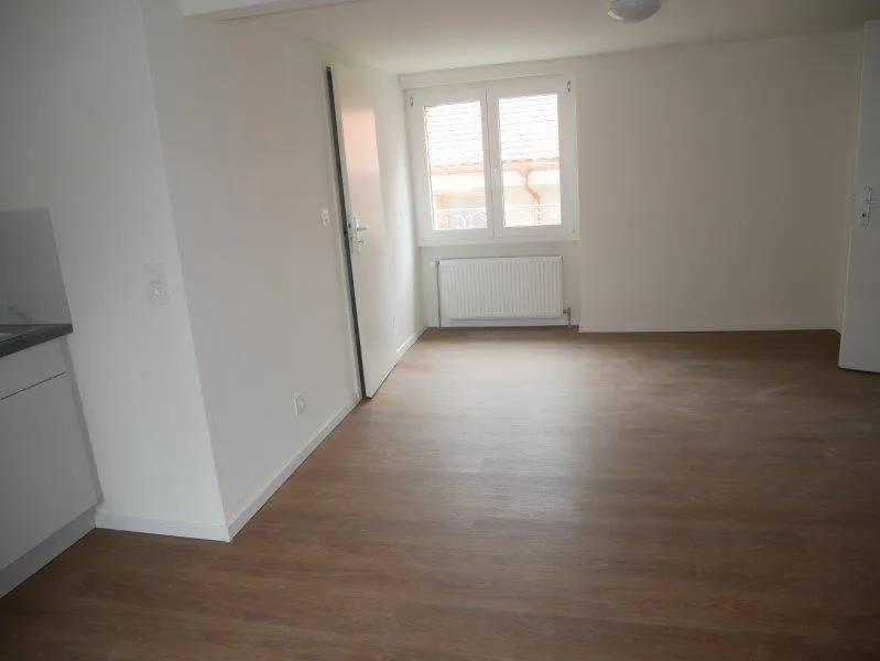 Appartement de 1,5 pièces rénové à louer