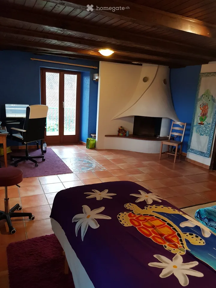 Appartement Duplex + combles