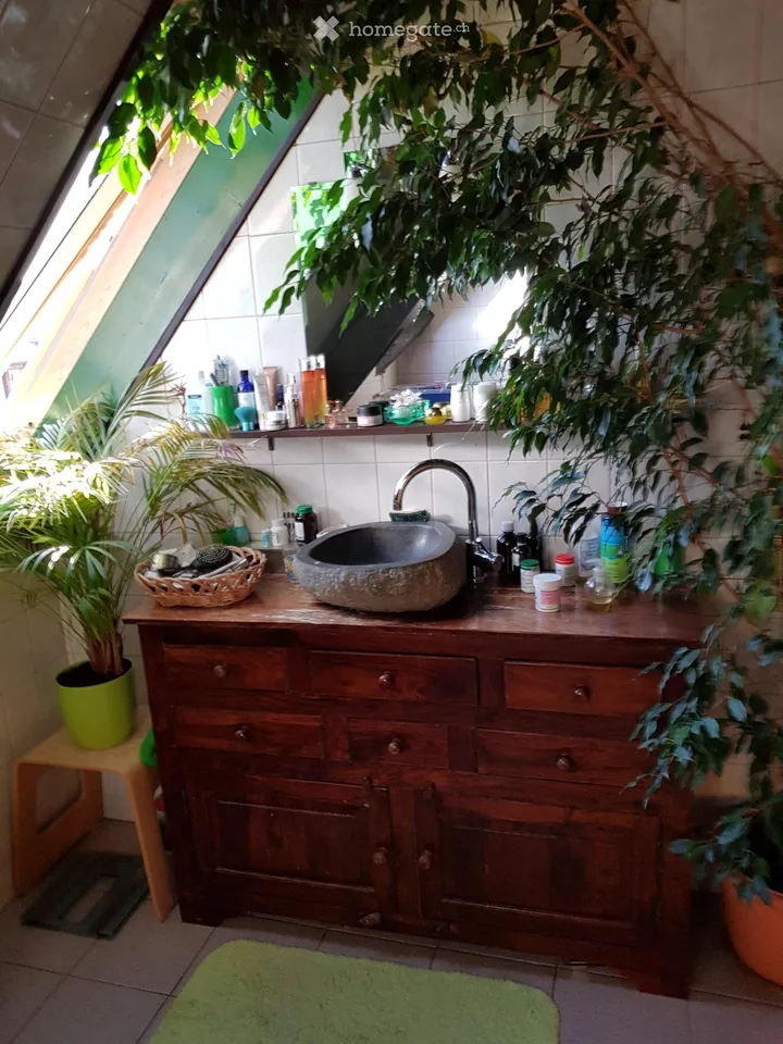 Appartement Duplex + combles