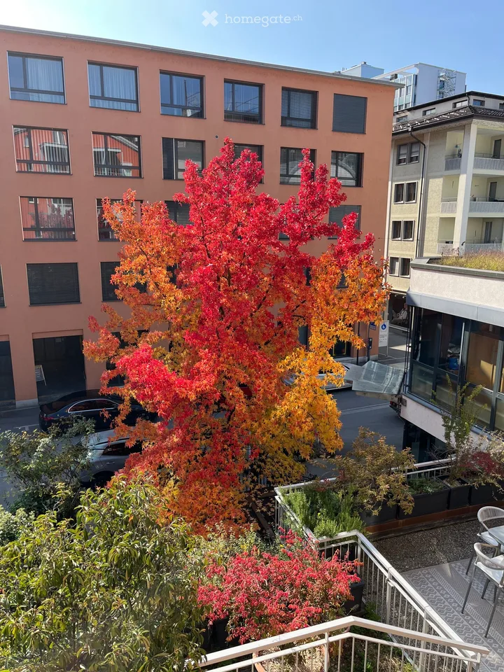 Büro in klassischem, renoviertem Altbau – am See in Rorschach