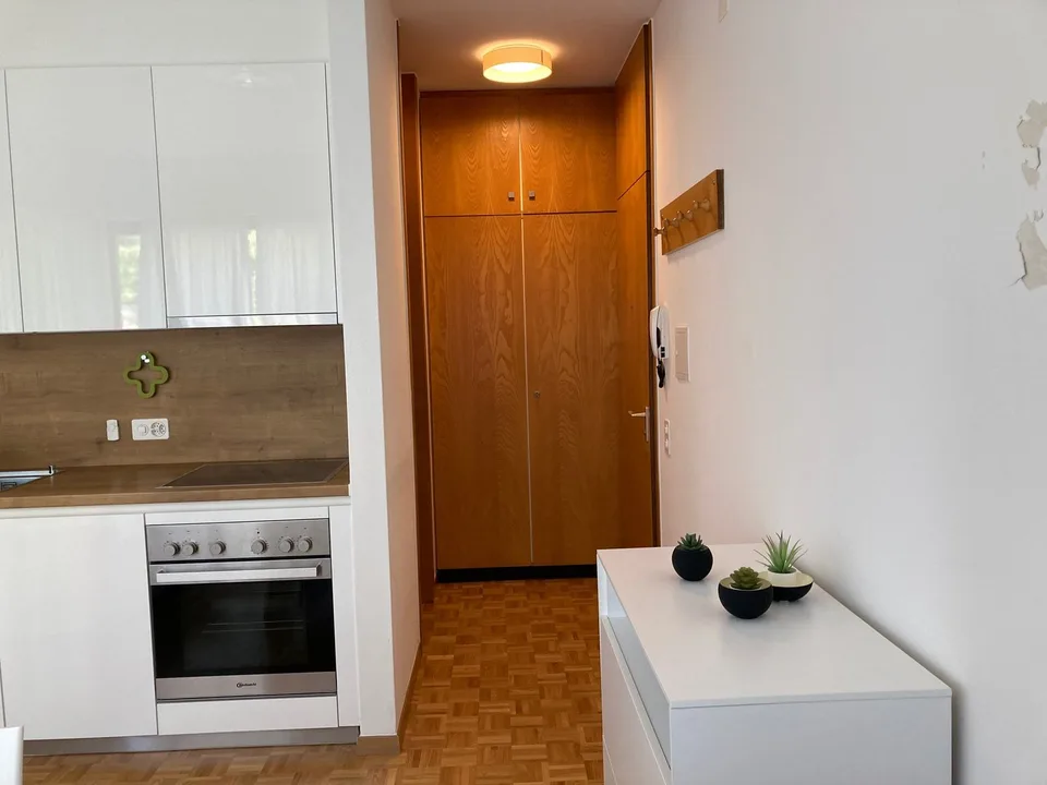 Lugano, möbliertes Einzimmerapartment in ruhiger Lage