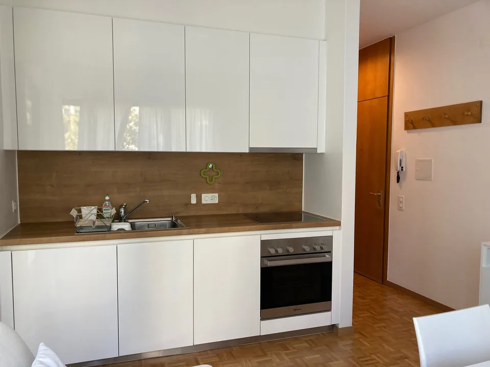 Lugano, möbliertes Einzimmerapartment in ruhiger Lage