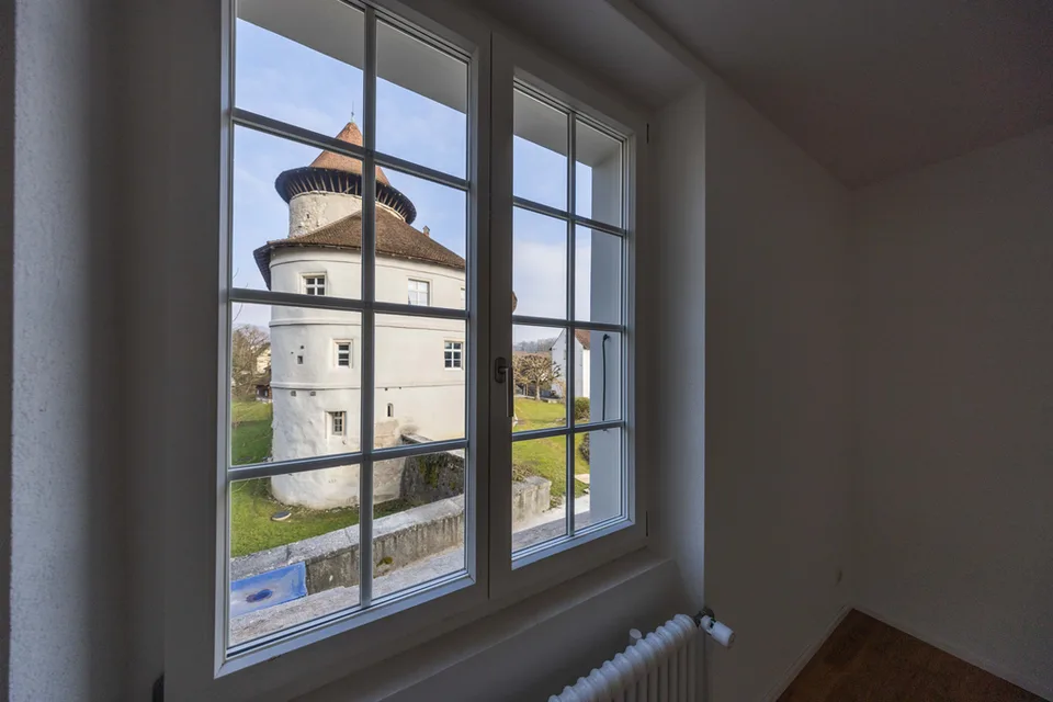 Ufficio/studio in un ensemble di castello storico - a soli 20 minuti da Basilea – foto 7 di 10