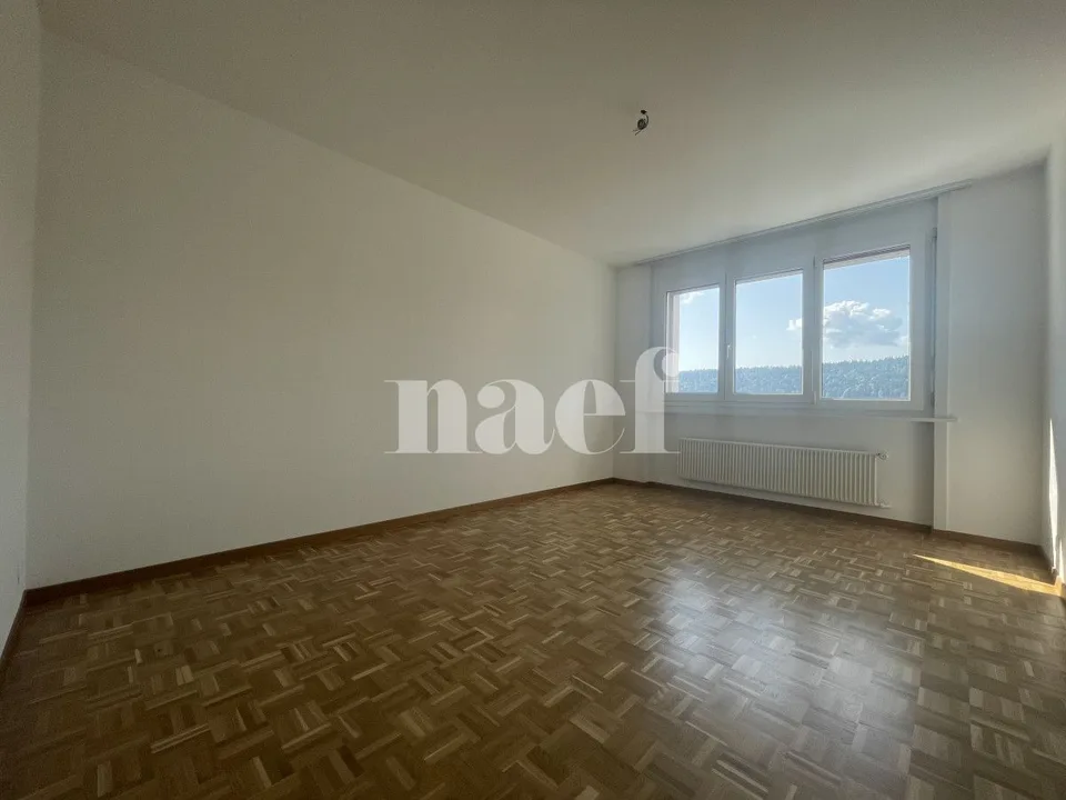 Bello appartamento di 4 locali con vista libera e balcone