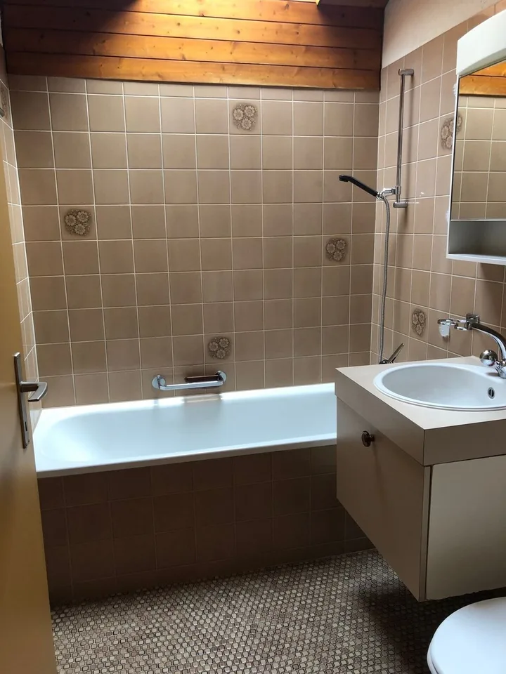 Renovierte 3.5-Zimmer-Attikawohnung Kopie