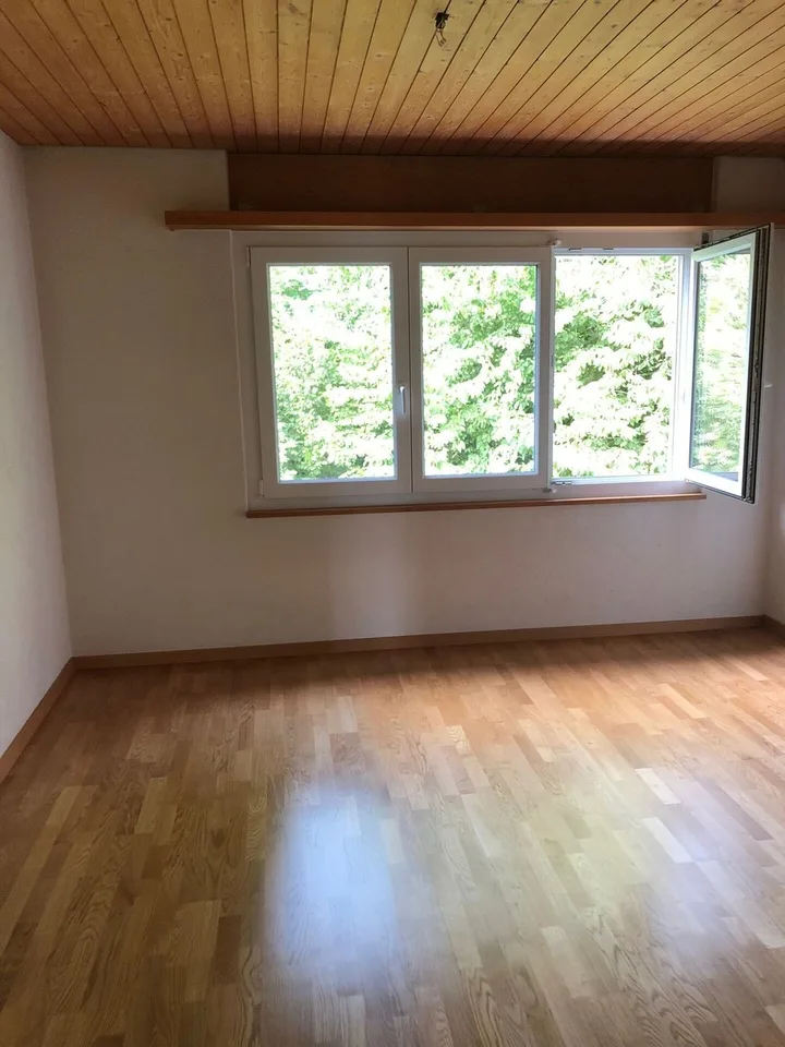 Renovierte 3.5-Zimmer-Attikawohnung Kopie