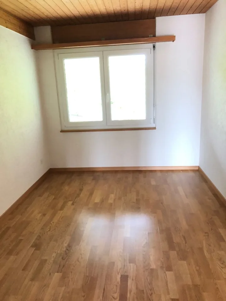 Renovierte 3.5-Zimmer-Attikawohnung Kopie