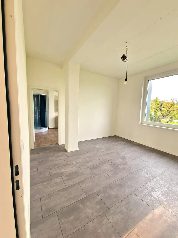 Wow, eine Loft mit Alpensicht