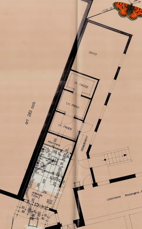 SUPERFICIE COMMERCIALE 65 M² - CHARMEY