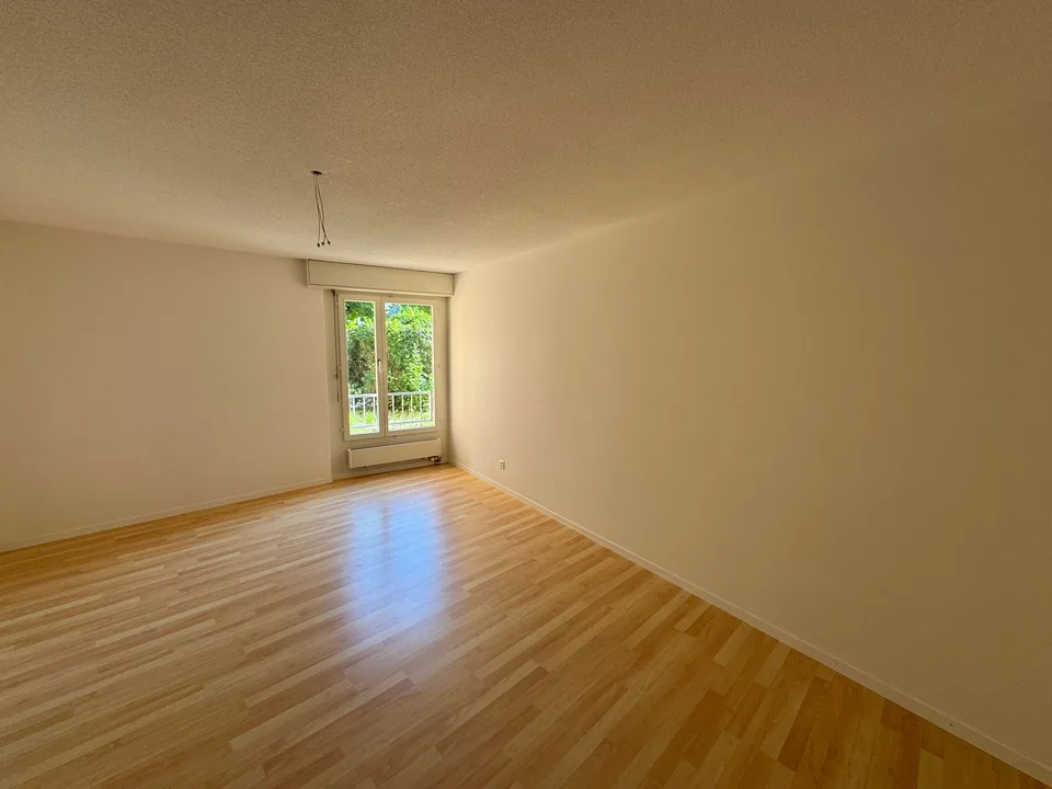 Ampio appartamento 3.5 locali con balcone a Olten