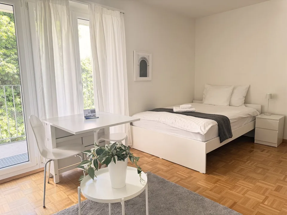 Light apartment within 2 minutes walk of Spalenberg