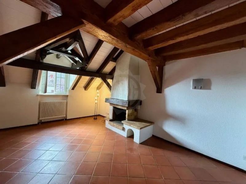 Charmantes Wohnung - La Rippe