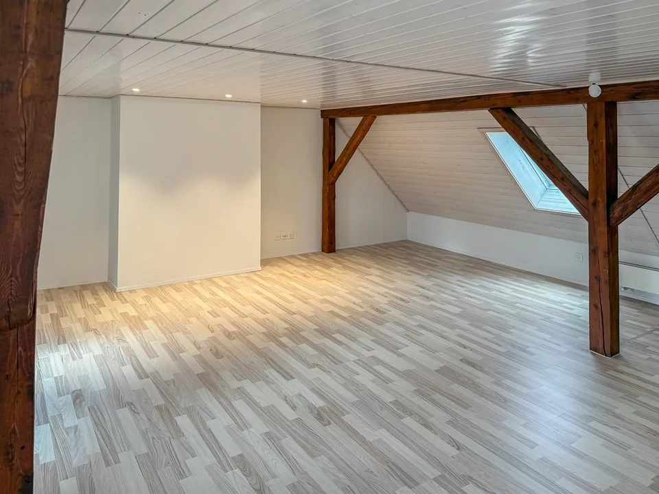 Appartement maisonnette avec terrasse sur le toit à usage exclusif - Mois gratuit !