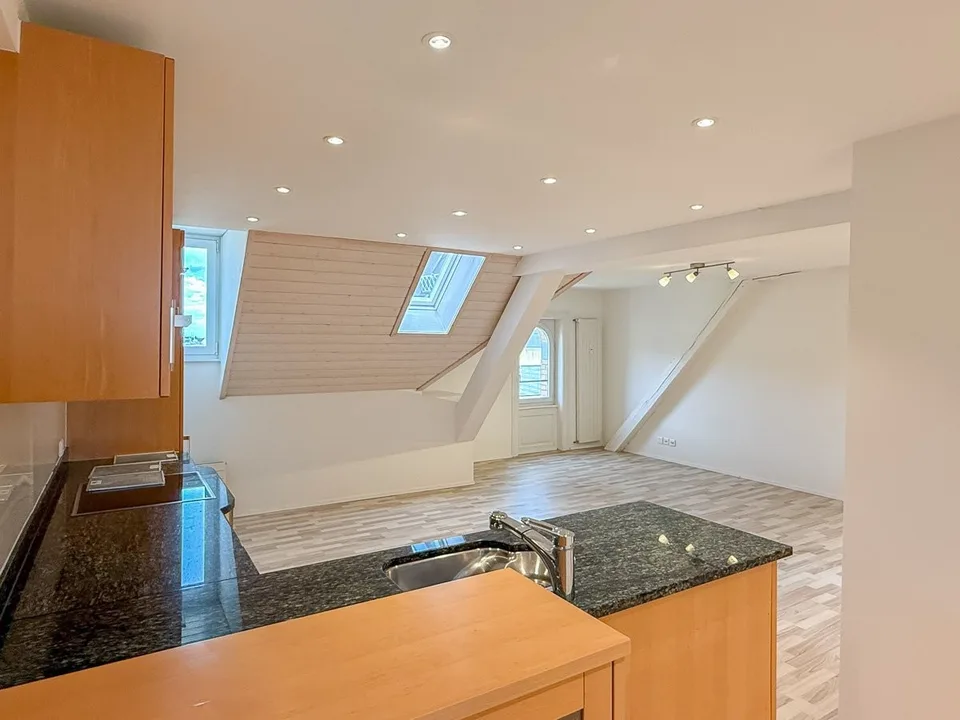 Appartement maisonnette avec terrasse sur le toit à usage exclusif - Mois gratuit !