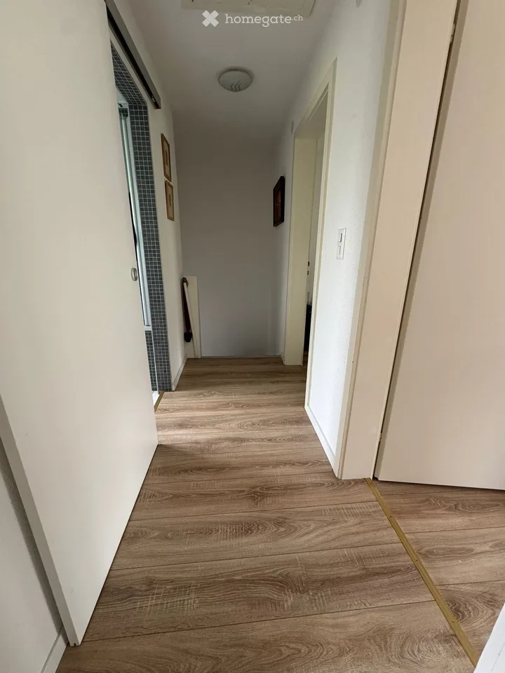 Affascinante casa unifamiliare di 4.5 locali a Reinach BL in affitto