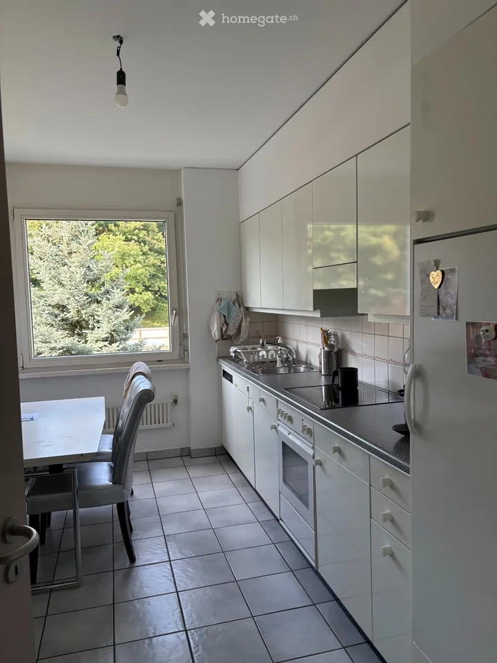 DRINGEND Suche Nachmieter 3.5 Zimmer in Massagno