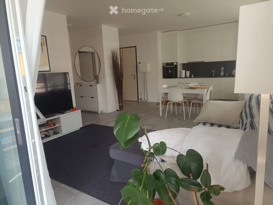 Subentrante Moderno 2.5 Massagno