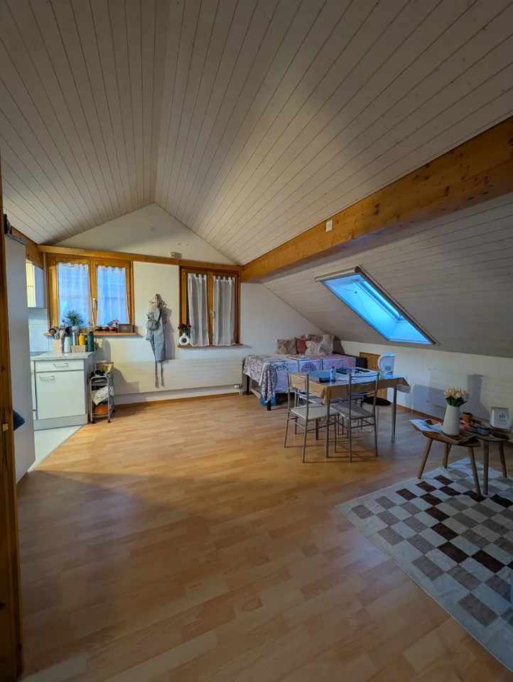Charmante 3.5-Zimmer-Dachwohnung in Schleitheim
